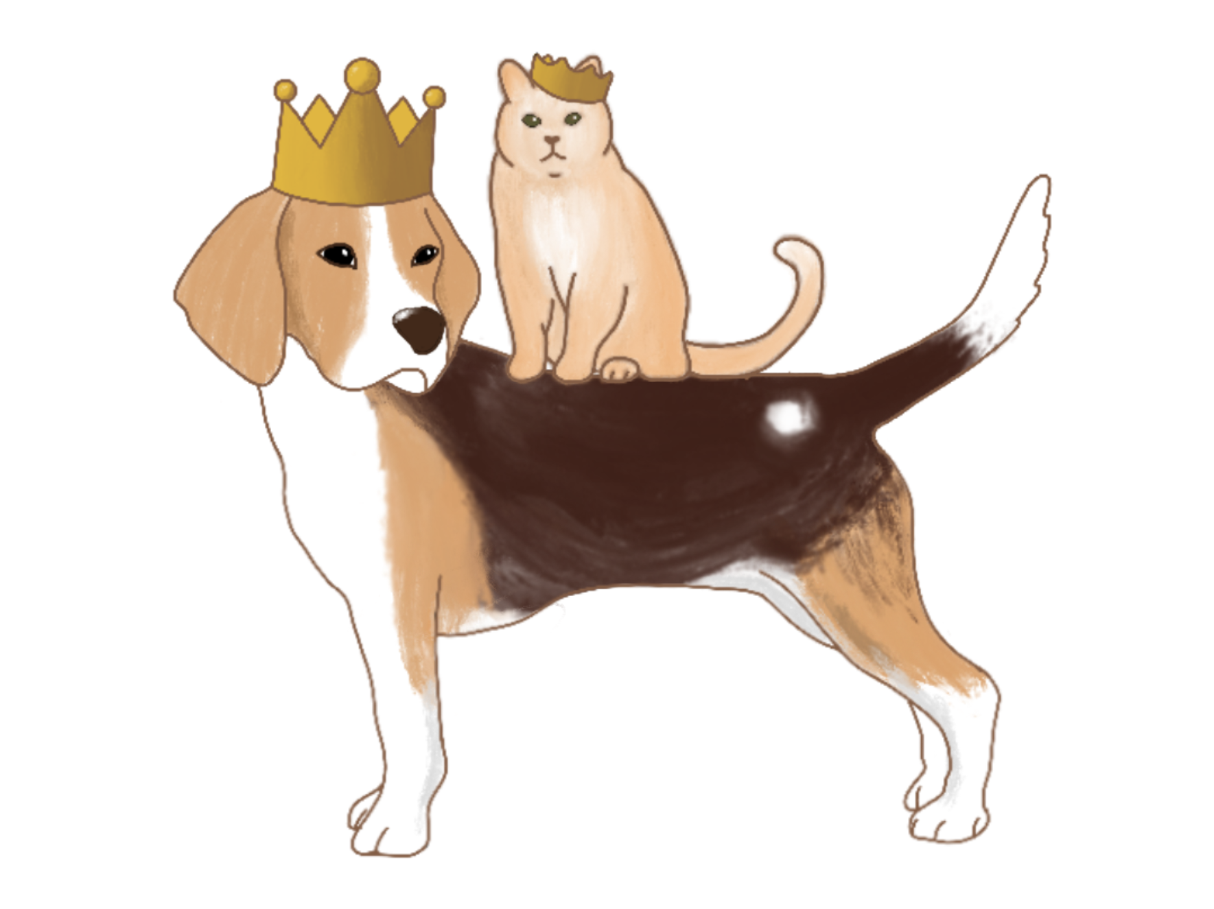 Happy pets shop happy you